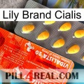 Lily Brand Cialis new01